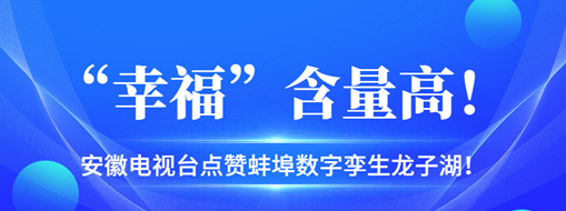 ?“幸福”含量高，安徽電視臺(tái)點(diǎn)贊蚌埠數(shù)字孿生龍子湖！